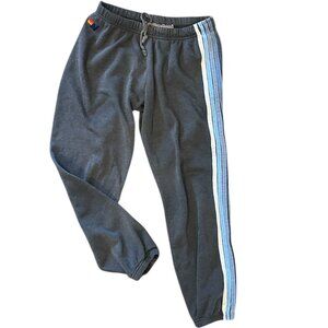 Heather Gray Blue Stripe Aviator Nation Sweatpants